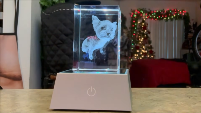 Turned a Photo of His Dog Into This